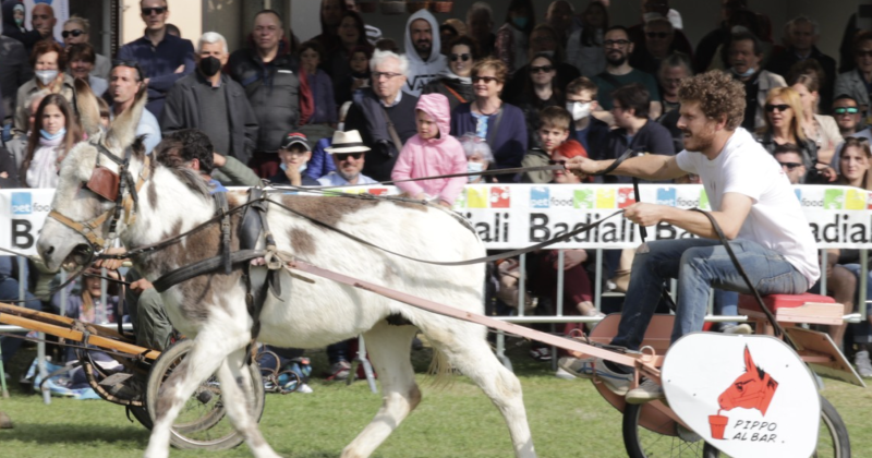 65° Sagra della Campagna